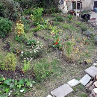 Labyrinthe Jardin