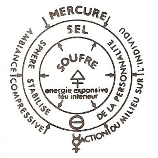 Cours d'alchimie végétale