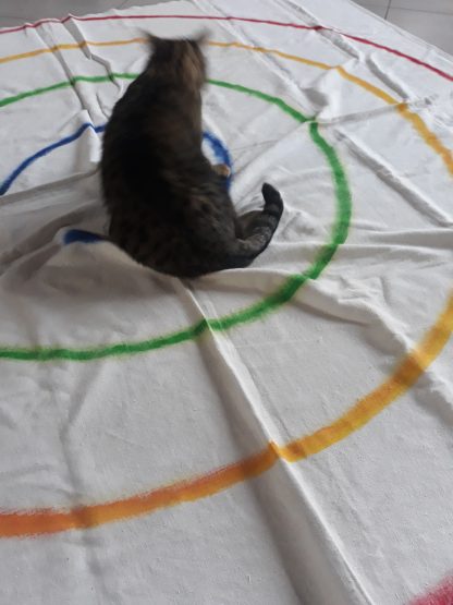 Tapis labyrinthe de méditation – Image 5