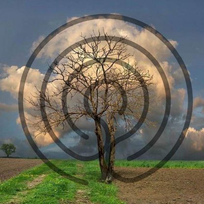 méditation nouvel an
