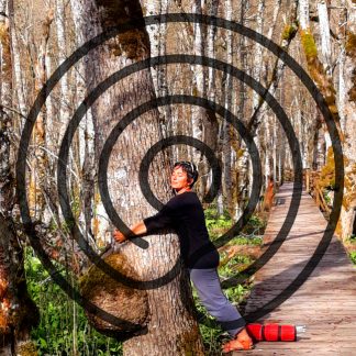 méditation arbre labyrinthe